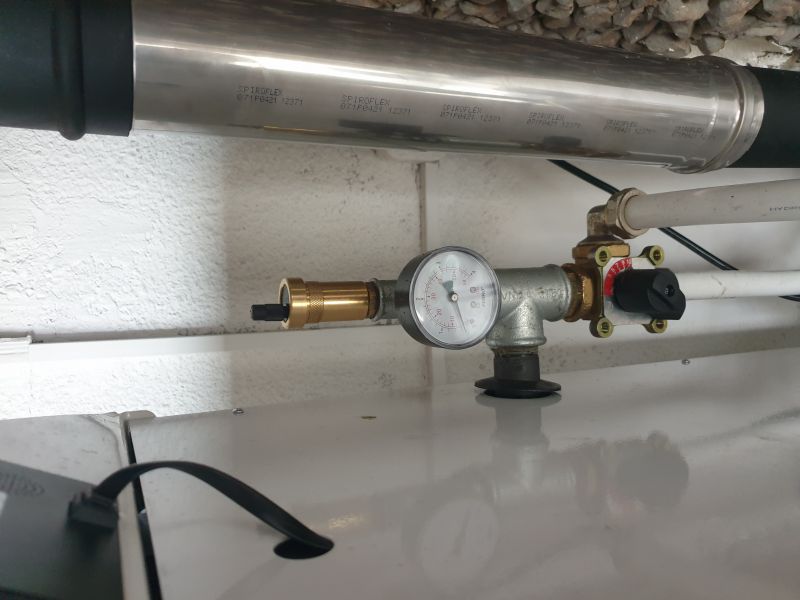 Dariusz, Złotoria Dariusz, Złotoria