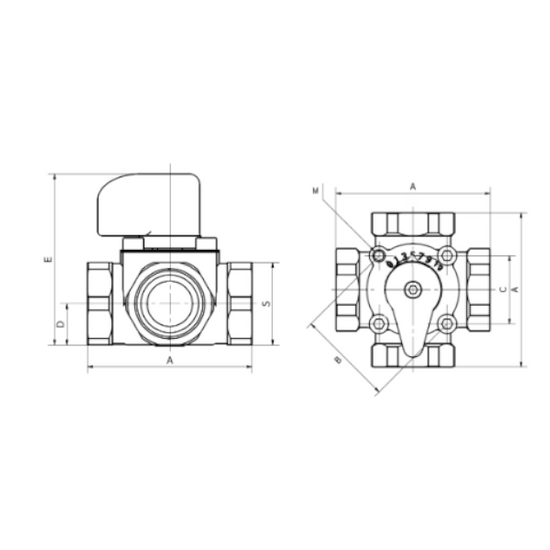 Zawór mieszający 3-drogowy MIX M3-50 2" Womix 601009