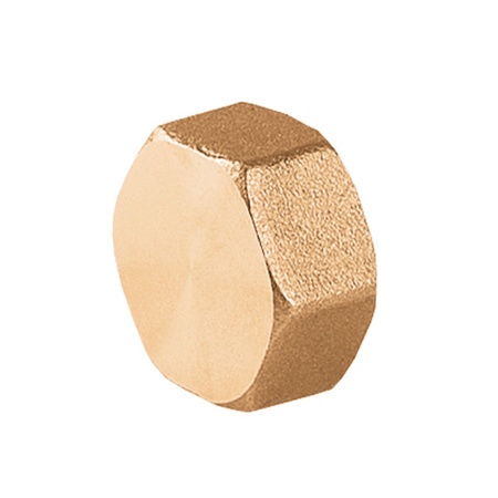 Zaślepka mosiężna 5102 GW 1" Perfexim 07-202-0250-000