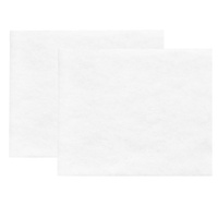 Filtry wstępne Prefilter 08 do filtrów CleanPad Pure 08 2 szt. Thessla Green 002E0008